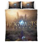 Harry Potter Hogwarts Schule 2 Kinderbettwäsche – Bettwäsche